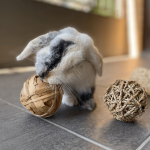 chew toy ball for rabbits