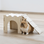 Rabbit Castle