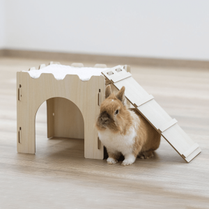 Rabbit Castle