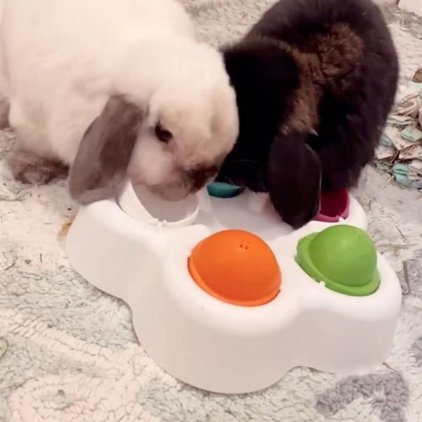toys for rabbit
