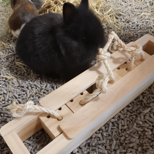 toys for rabbit snack