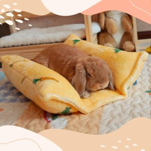rabbit snuggle bed carrot