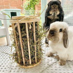 hay rack for rabbits