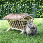XXL Rabbit feeder