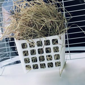 rabbit rack basket