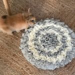 Rabbit snuffle mat