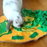 rabbit snuffle mat funny