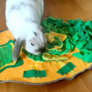 rabbit snuffle mat funny