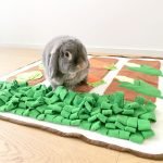 snuffle mat for rabbit