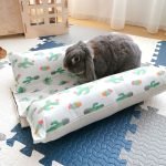rabbit cooling mat cactus