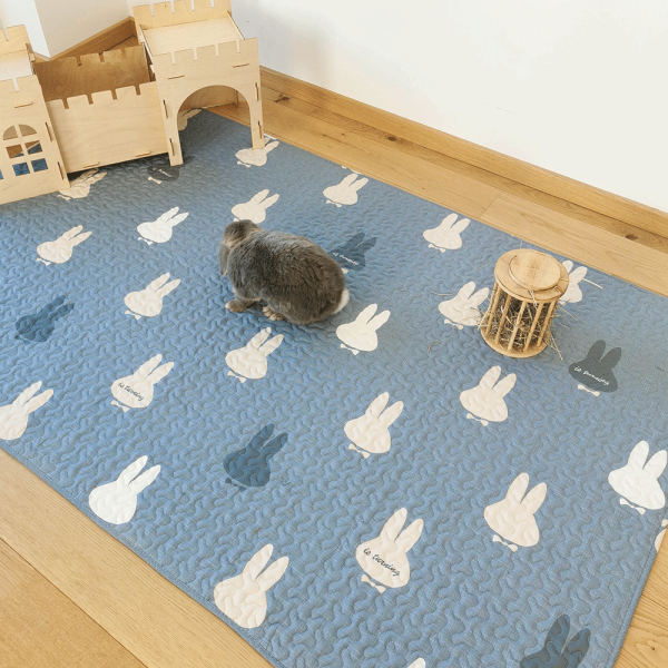 rabbit mat playmat