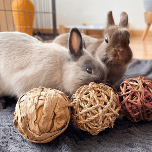 balls for rabbits