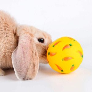 rabbit Treats Ball