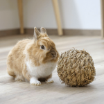 Hay ball for rabbits