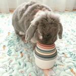 Rabbit toy Stacking cups