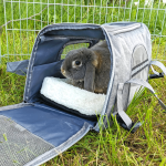 rabbit travel carrier