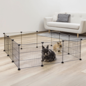 Rabbit enclosure