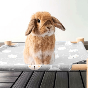 rabbit bed grey