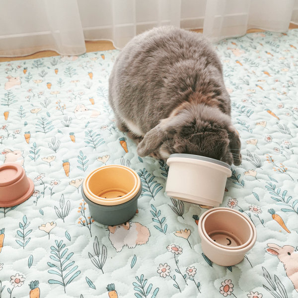 Rabbit toy Stacking cups