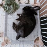 rabbit bed hammock grey
