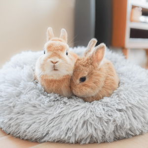 Bunny Bed soft