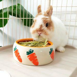 Rabbit bowl