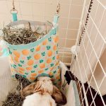 hay bag for rabbits