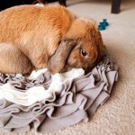 Rabbit snuffle mat