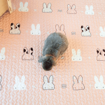 pink rabbit mat
