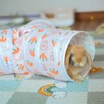 Rabbit tunnel toy for rabbits