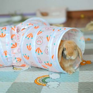 Rabbit tunnel toy for rabbits