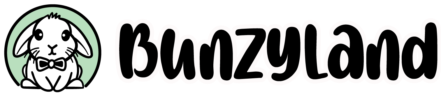 bunzyland logo horizontale