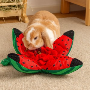 Watermelon Rabbit Toy