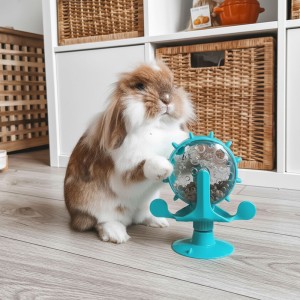 Magisch Rad Konijnenspeelgoed