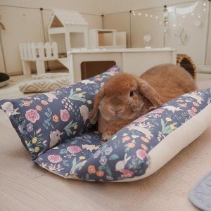 Midnight Rabbit Bed