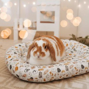Lapimania Rabbit Bed