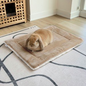Fluffy rabbit mat